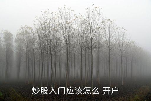 炒股入門(mén)應(yīng)該怎么 開(kāi)戶