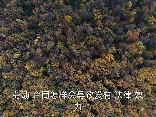 什么合同沒有法律效力,陰陽合同的法律效力