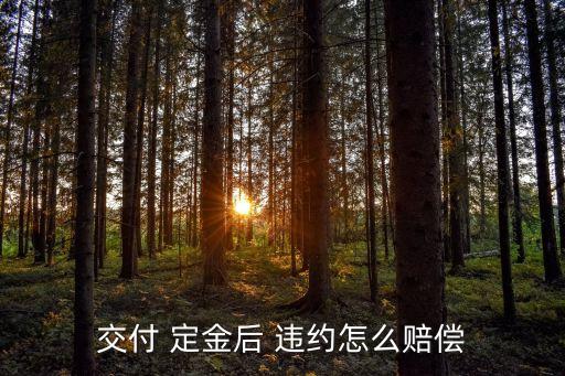 違約定金應(yīng)賠多少,定金2000,違約賠多少