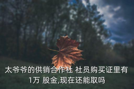 社員股金,供銷社社員股金