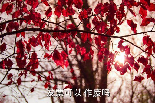 發(fā)票作廢
