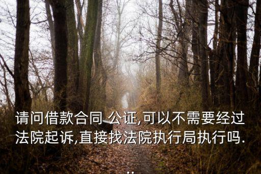 請問借款合同 公證,可以不需要經(jīng)過法院起訴,直接找法院執(zhí)行局執(zhí)行嗎...