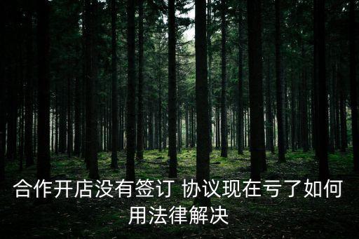 合作開店沒有簽訂 協(xié)議現(xiàn)在虧了如何用法律解決
