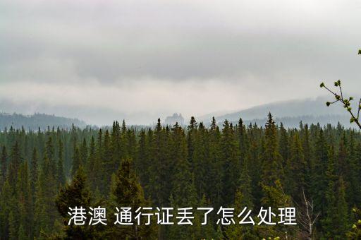 補(bǔ)辦港澳通行證