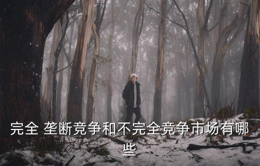 壟斷企業(yè)