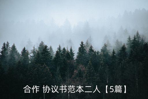  合作 協(xié)議書(shū)范本二人【5篇】
