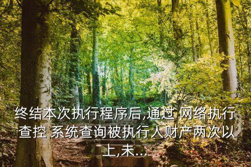 網(wǎng)絡(luò)查控系統(tǒng),總對(duì)總網(wǎng)絡(luò)查控系統(tǒng)