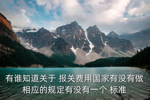 有誰知道關(guān)于 報關(guān)費(fèi)用國家有沒有做相應(yīng)的規(guī)定有沒有一個 標(biāo)準(zhǔn)