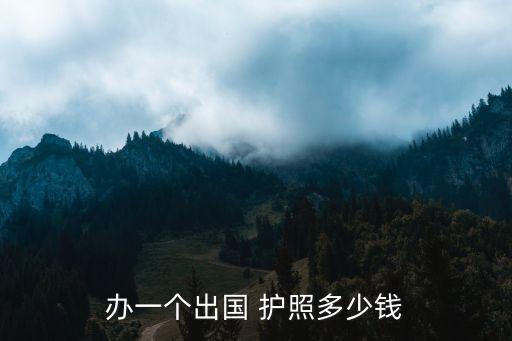 辦一個出國 護照多少錢