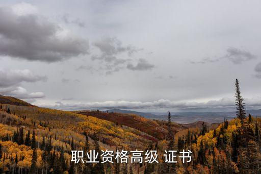  職業(yè)資格高級(jí) 證書(shū)