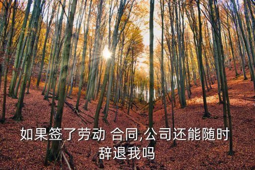 如果簽了勞動 合同,公司還能隨時 辭退我嗎