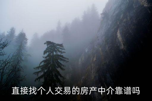 直接找個人交易的房產(chǎn)中介靠譜嗎