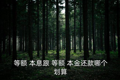 等額本金和等額本息哪個更劃算,四大銀行貸款哪個便宜