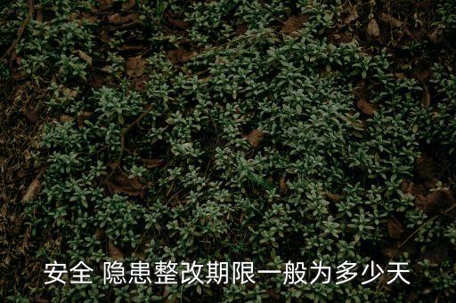 安全 隱患整改期限一般為多少天
