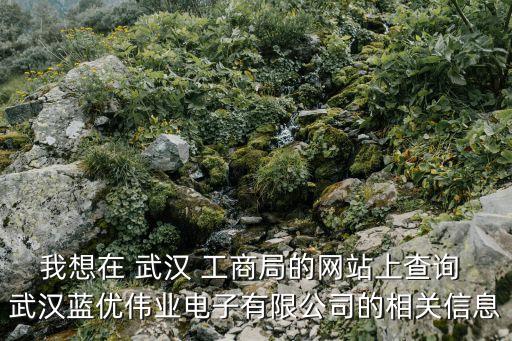 武漢工商局
