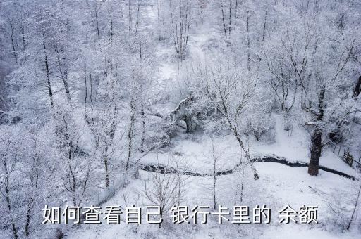 怎樣看銀行卡余額,蘋果手機(jī)支付寶上怎樣看銀行卡余額