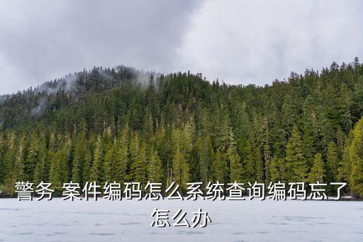 案件編號