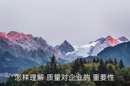 怎樣理解 質(zhì)量對(duì)企業(yè)的 重要性