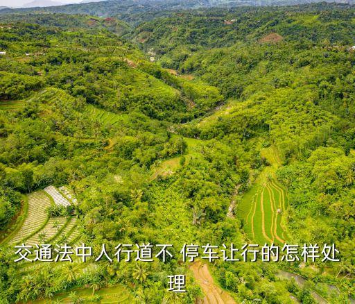 交通法中人行道不 停車讓行的怎樣處理