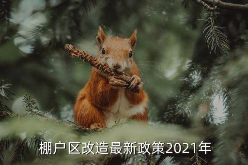 棚戶