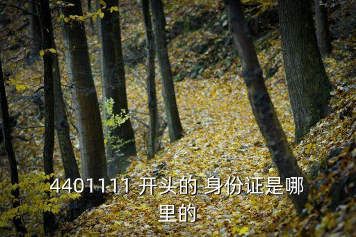 4401111 開頭的 身份證是哪里的