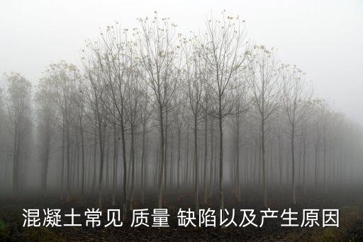 混凝土常見(jiàn) 質(zhì)量 缺陷以及產(chǎn)生原因