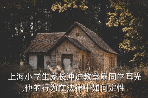 上海打人,4月30日上海打人