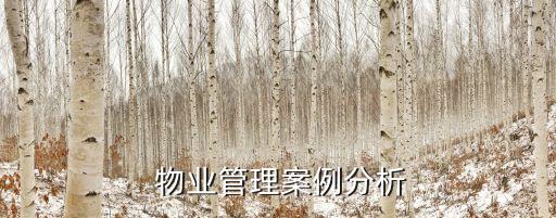  物業(yè)管理案例分析