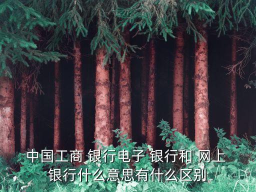 中國工商 銀行電子 銀行和 網(wǎng)上 銀行什么意思有什么區(qū)別