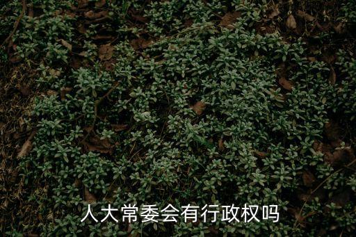  人大常委會(huì)有行政權(quán)嗎