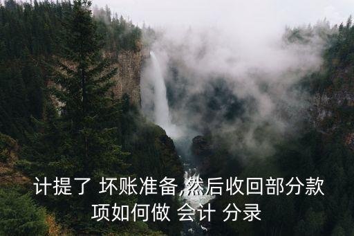  計(jì)提了 壞賬準(zhǔn)備,然后收回部分款項(xiàng)如何做 會(huì)計(jì) 分錄