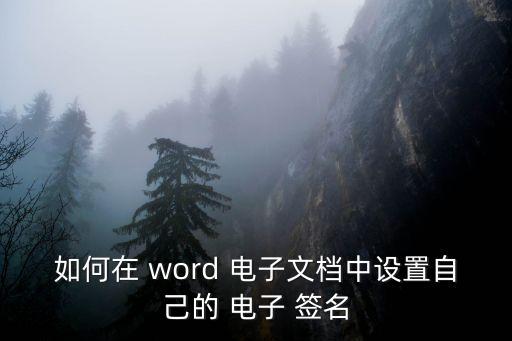 如何在 word 電子文檔中設置自己的 電子 簽名
