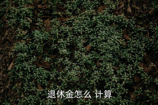  退休金怎么 計(jì)算