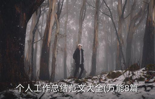 個人工作總結(jié)范文大全(萬能8篇