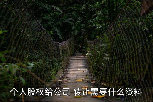 個人股權(quán)給公司 轉(zhuǎn)讓需要什么資料