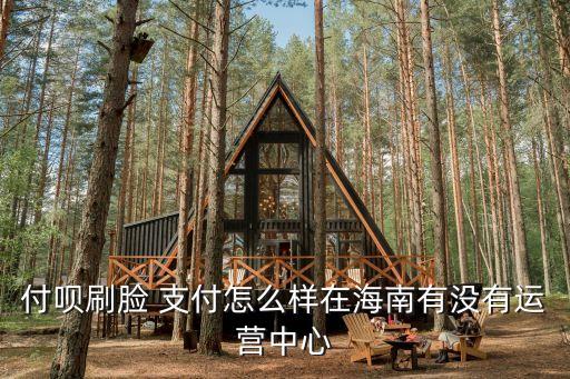 付唄刷臉 支付怎么樣在海南有沒有運(yùn)營中心