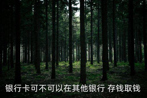 借記卡可以存錢嗎,上海綠色賬戶借記卡可以存錢嗎