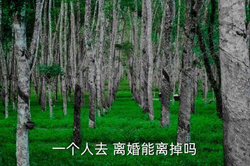 一個人可以離婚嗎,qq飛車手游一個人可以離婚嗎