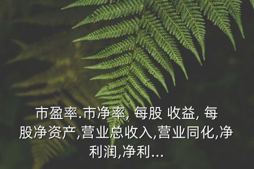 每股凈收益,股票每股凈收益