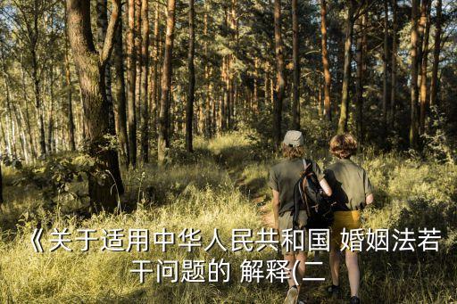 婚姻法解釋二