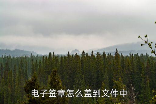  電子簽章怎么蓋到文件中