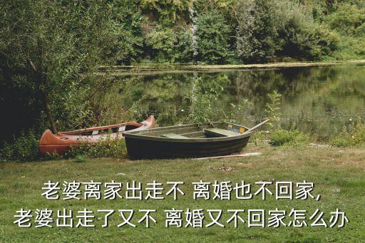  老婆離家出走不 離婚也不回家, 老婆出走了又不 離婚又不回家怎么辦