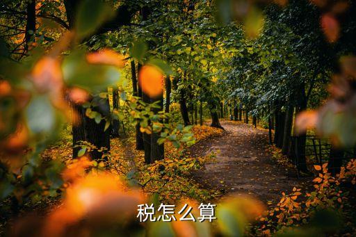 產(chǎn)品稅