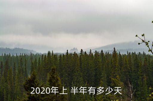 2020年上 半年有多少天