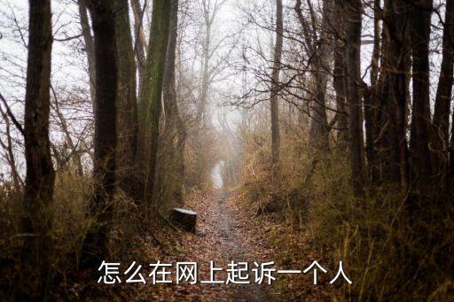 怎么在網(wǎng)上起訴一個(gè)人