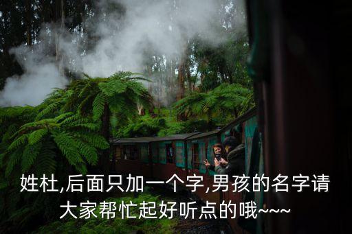 姓杜,后面只加一個(gè)字,男孩的名字請(qǐng)大家?guī)兔ζ鸷寐?tīng)點(diǎn)的哦~~~