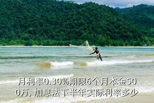 月利率0.30%期限6個月本金500萬, 加息法下半年實際利率多少