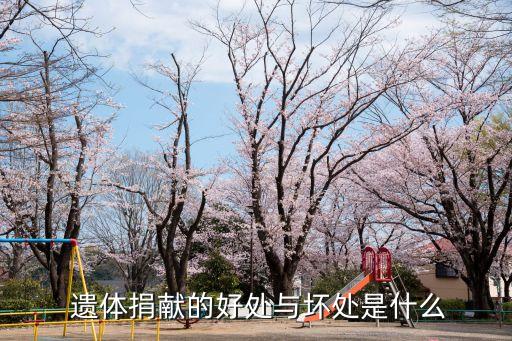  遺體捐獻(xiàn)的好處與壞處是什么