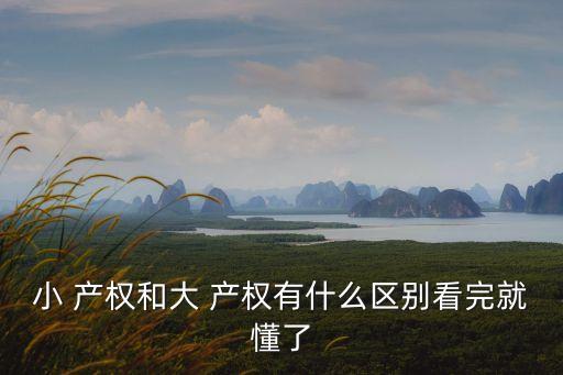 小 產(chǎn)權(quán)和大 產(chǎn)權(quán)有什么區(qū)別看完就懂了