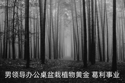 葛利,葛力姆喬